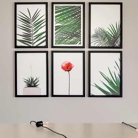 Studio Baltica Brzezno 그단스크 외부 사진